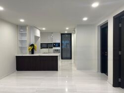 Cairnhill Road (D9), Terrace #490370641
